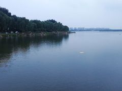 -丁香湖公园