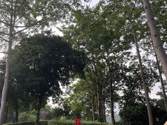 -南宁南湖公园