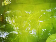 -嘉和K6温泉微度假