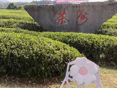 -凤凰沟景区