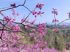 -天台山赤城山景区