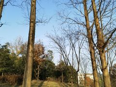 -浙江农林大学(东湖校区)