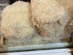 -特色椒盐排条(天山西路店)