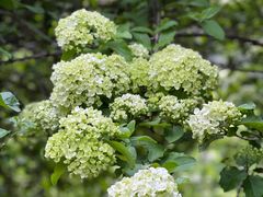 -南京雨花台风景区