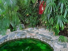 -中家鑫园温泉酒店鑫悦汤泉