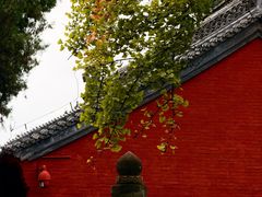 -洛阳白马寺
