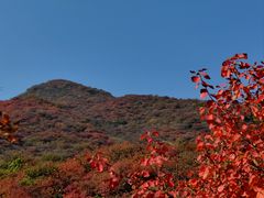 -周口店坡峰岭风景区