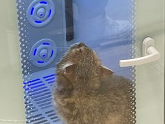 -悠尼宠物·独立低压伊珊娜洗护·美容·寄养(兰谷路店)