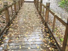 -帽儿山风景区