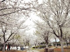 -江南大学(蠡湖校区)