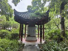 -西湖公园(鼓楼区)