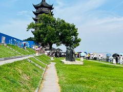 -观潮胜地公园