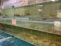 -顺峰渔港中国人的餐厅