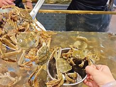 -半岛听涛蒸汽海鲜自助(K11店)