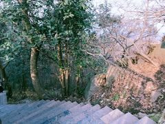 -紫金山山顶公园