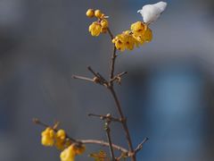 -月坛公园