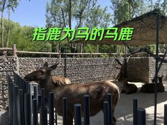 -北京野生动物园