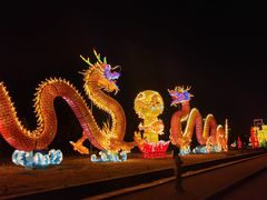 -洛阳市隋唐城遗址植物园