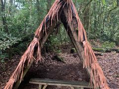 -云南屏边大围山国家公园