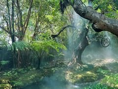 -Chom Cafe and Restaurant