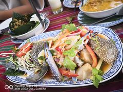 -卷心菜和避孕套餐厅(Pattaya)
