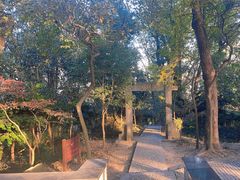 -上海佘山国家森林公园天马山园