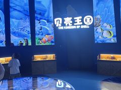 -上海海昌海洋公园
