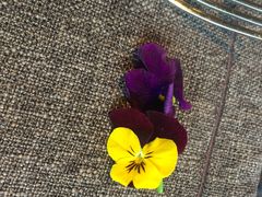 -深圳四季酒店·馥自助餐厅