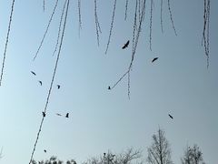 -大宁公园