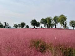 -汉长安城未央宫国家考古遗址公园