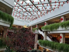 -广州白天鹅宾馆