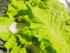 -盛江山自助料理(奥莱锦辉购物广场店)