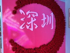 -深圳独角兽星空艺术馆