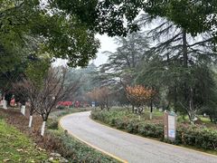 -花溪公园