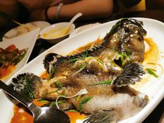 清蒸生猛石斑鱼-采悦轩中餐厅·粤菜·海南菜(神州半岛喜来登度假酒店)
