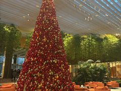 -北京望京凯悦酒店The Lounge大堂酒廊