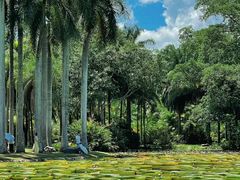 -中国科学院西双版纳热带植物园