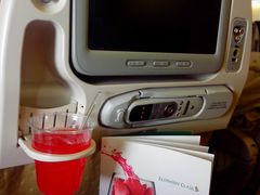 -新加坡航空公司(ION)
