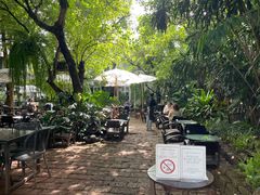 -Fern Forest Cafe