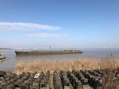 -上海滨江森林公园