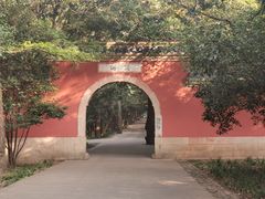 -灵谷景区