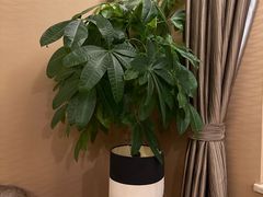 -长沙小天鹅戴斯酒店