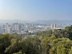 -金鸡山公园