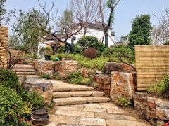 -武清南湖绿博园