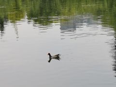 -后襄河公园