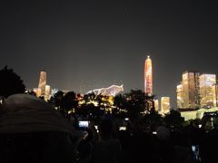 -莲花山公园