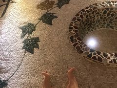 -金紫荆松骨休闲水会