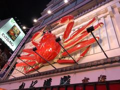 -蟹道乐(道顿堀本店)