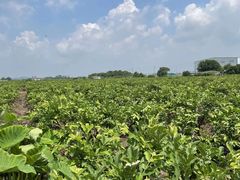 -永辉超市(群众路店)