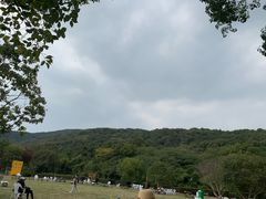 -龙寺生态园